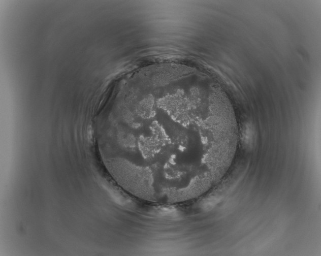 X0000111590715200907231214