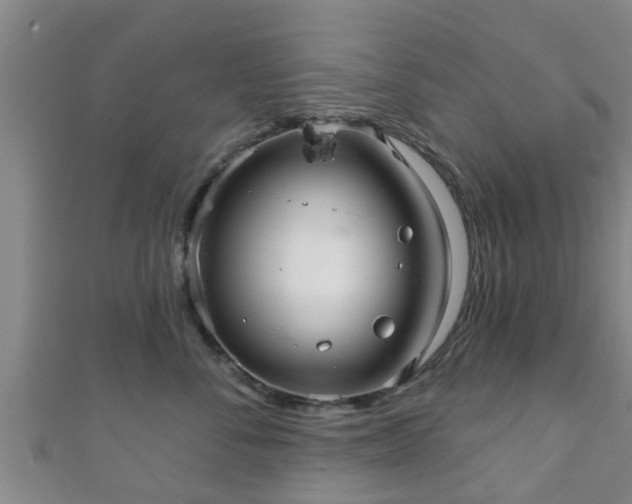 X0000111590716200907231214