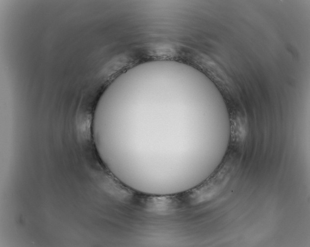 X0000111590717200907231214