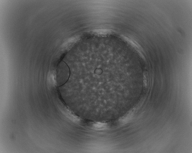 X0000111590718200907231214