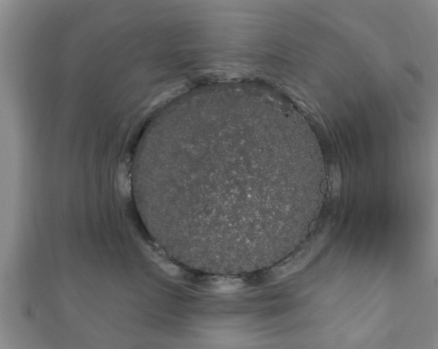 X0000111590719200907231214