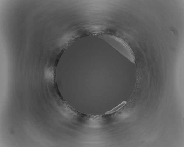 X0000111590720200907231214