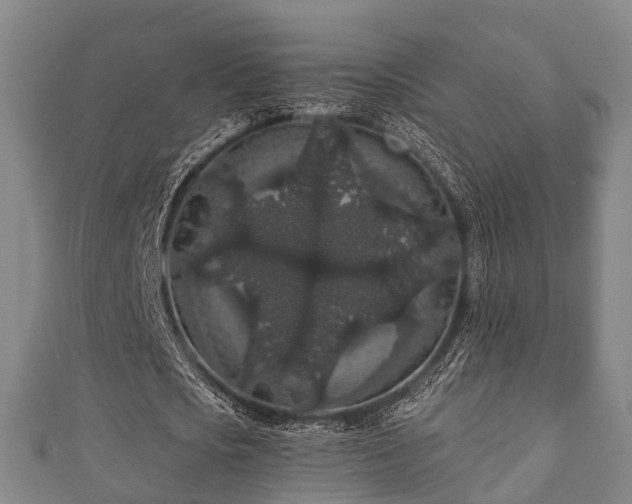 X0000111590721200907231214