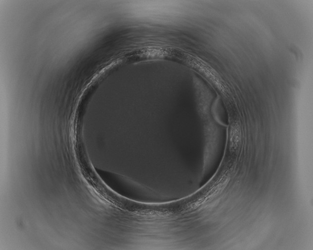 X0000111590722200907231214