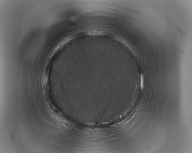 X0000111590723200907231214