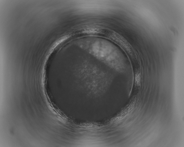 X0000111590724200907231214