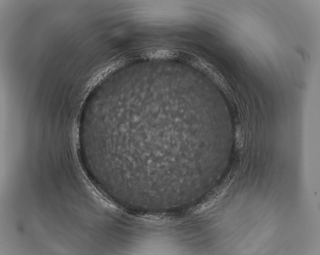 X0000111590725200907231214