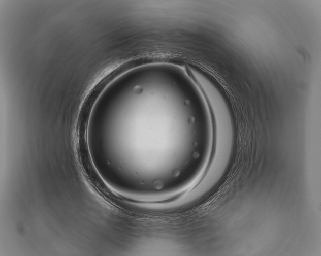 X0000111590726200907231214