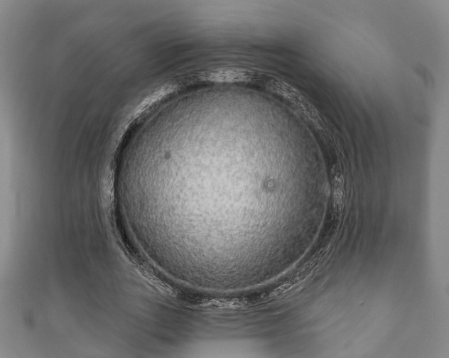 X0000111590727200907231214