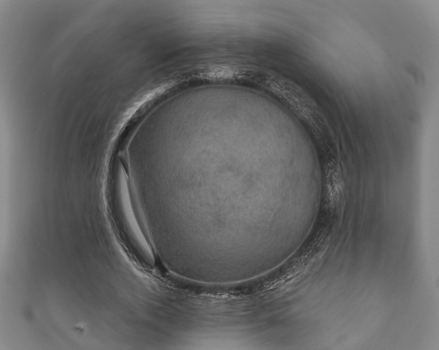 X0000111590728200907231214