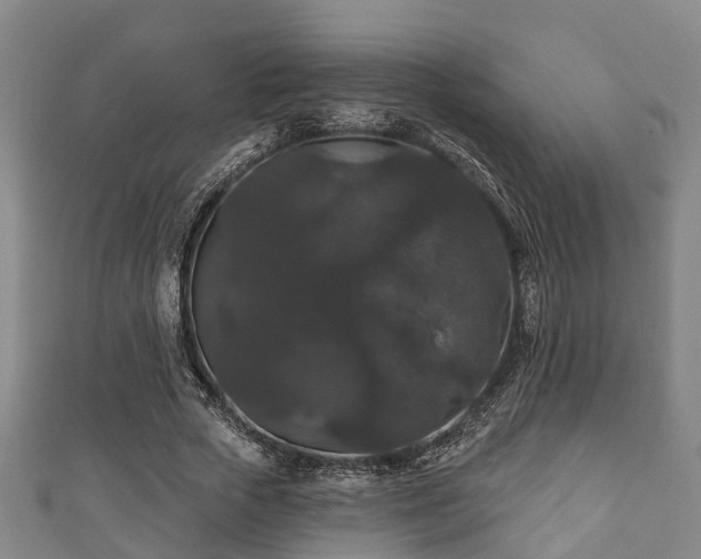 X0000111590729200907231214