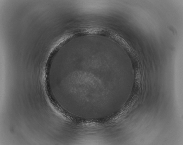 X0000111590730200907231214