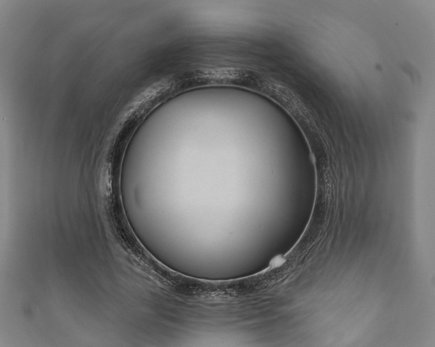 X0000111590731200907231214