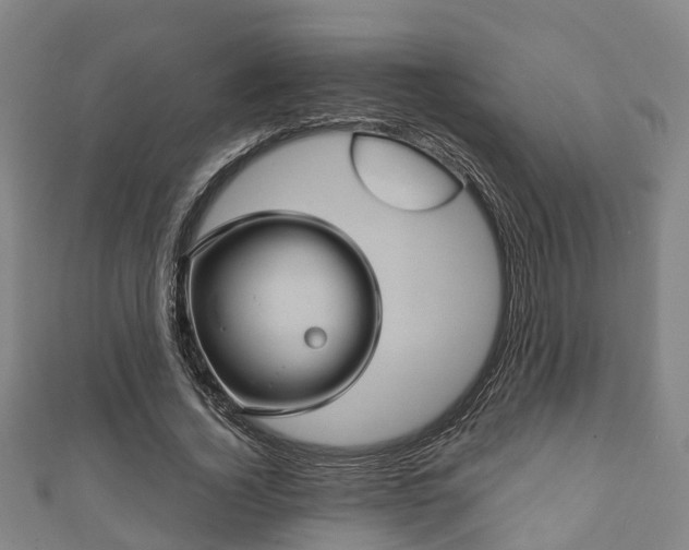 X0000111590732200907231214