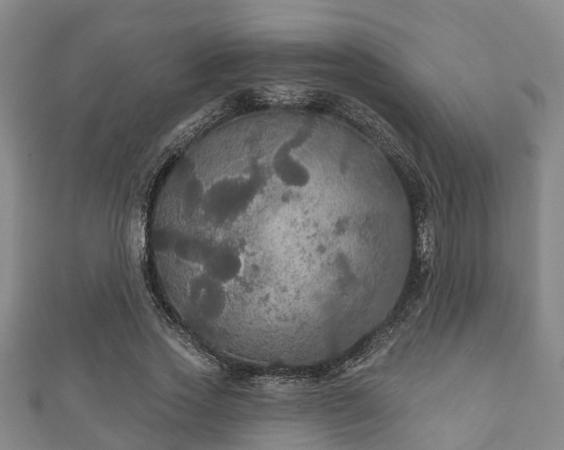 X0000111590733200907231214