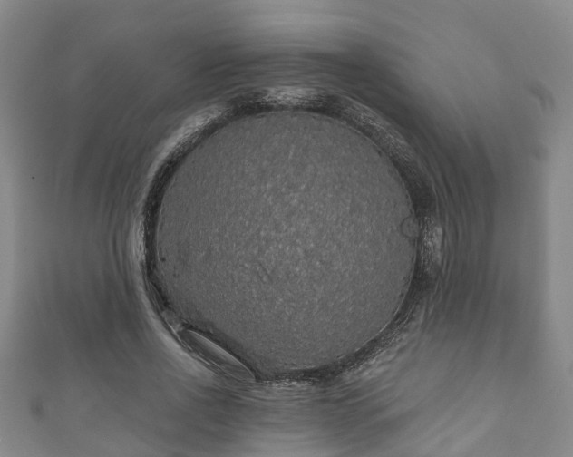 X0000111590734200907231214