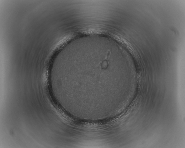 X0000111590735200907231214