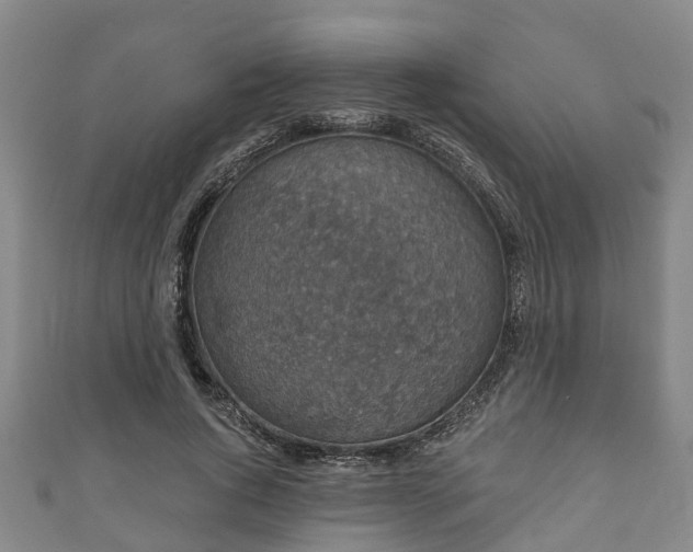 X0000111590736200907231214