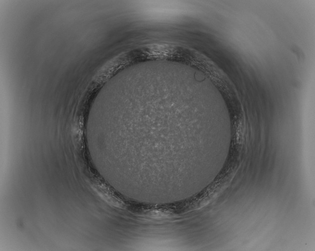 X0000111590737200907231214