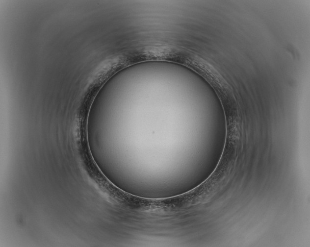 X0000111590738200907231214