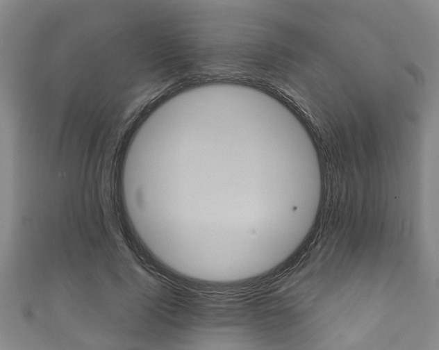 X0000111590740200907231214