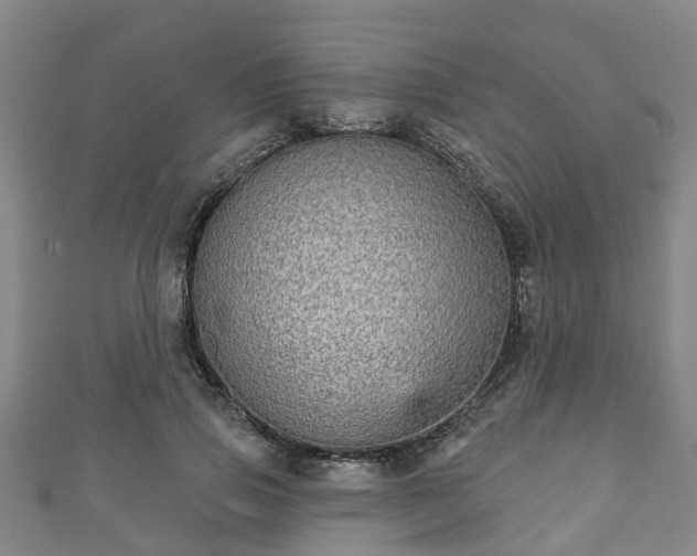 X0000111590741200907231214