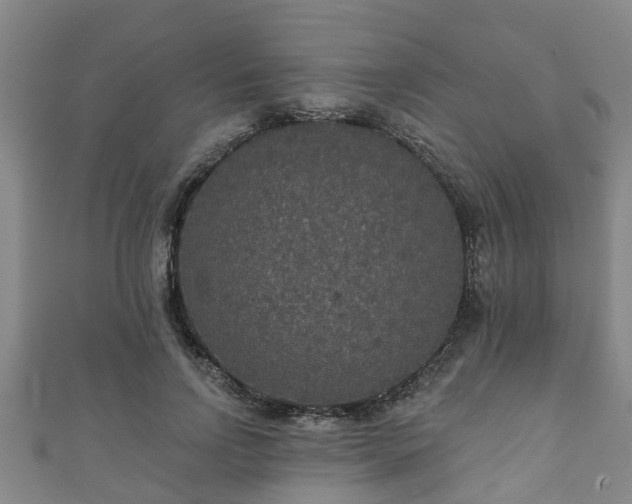 X0000111590742200907231214