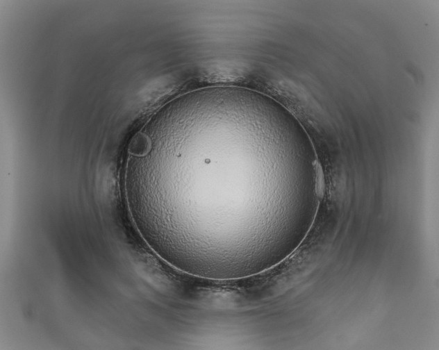 X0000111590743200907231214