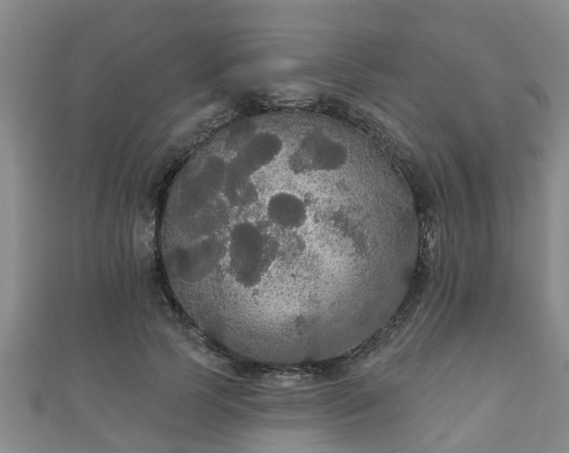 X0000111590745200907231214