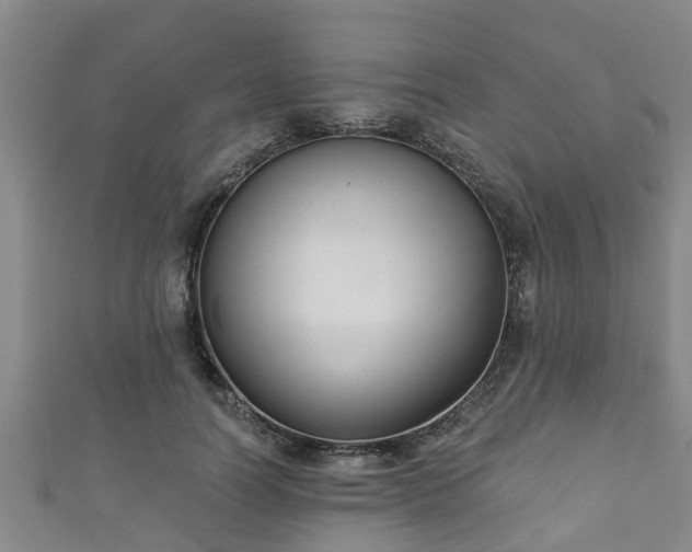 X0000111590746200907231214