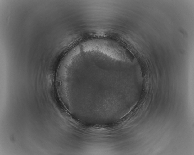 X0000111590747200907231214