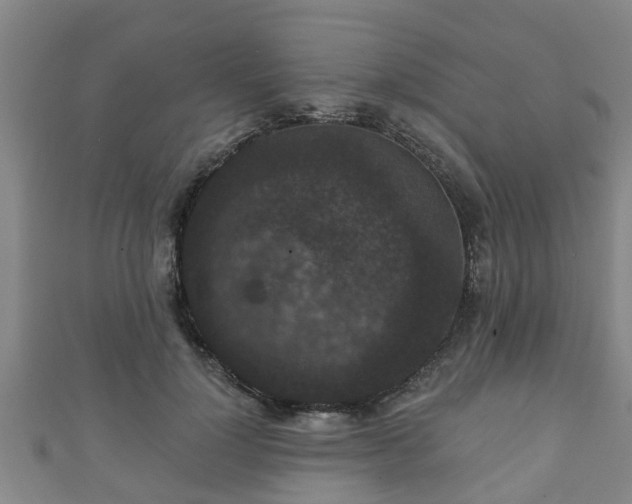 X0000111590748200907231214