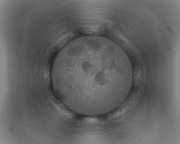 X0000111590749200907231214