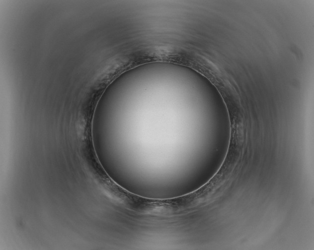 X0000111590750200907231214