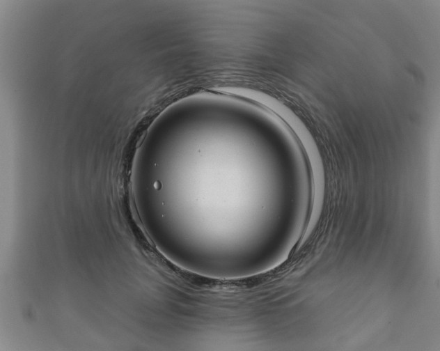 X0000111590751200907231214