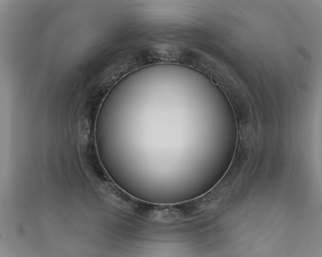 X0000111590752200907231214