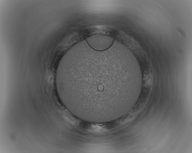 X0000111590753200907231214