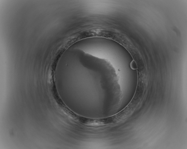 X0000111590754200907231214