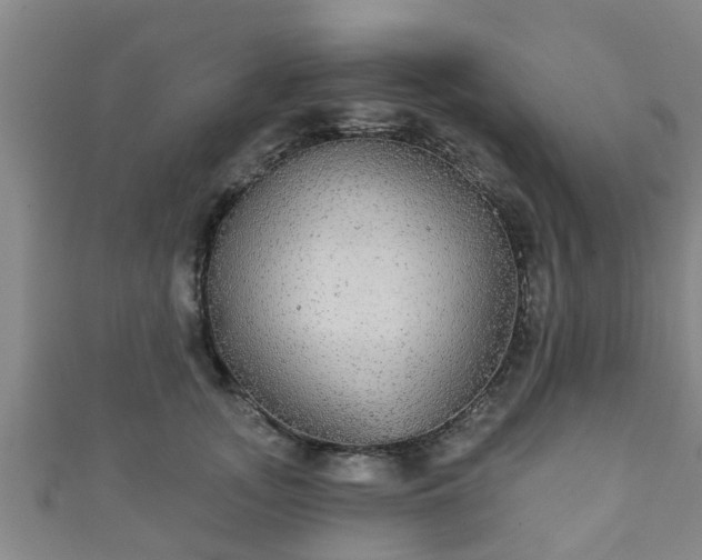 X0000111590755200907231214