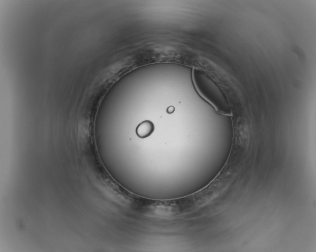 X0000111590756200907231214