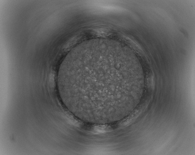 X0000111590757200907231214