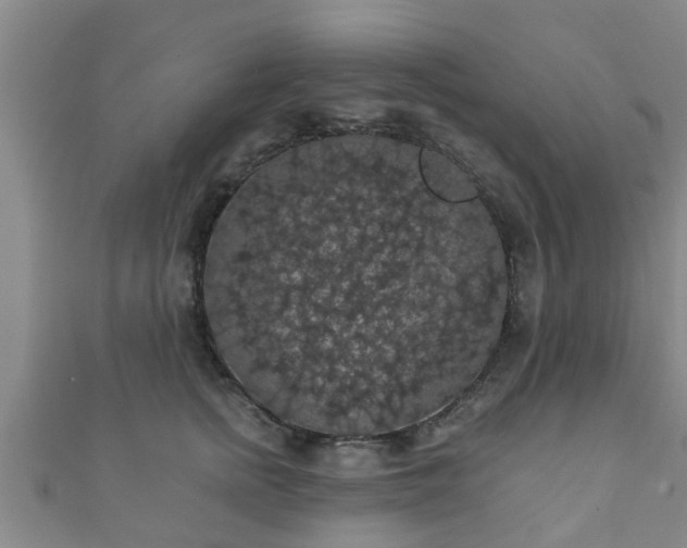 X0000111590758200907231214