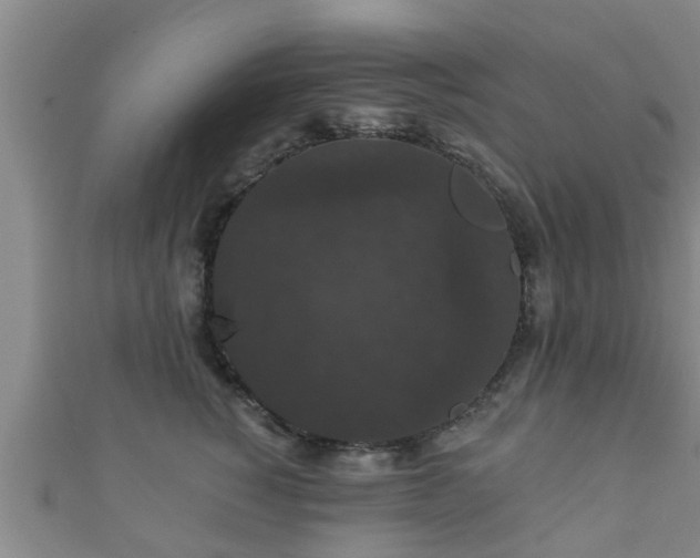 X0000111590760200907231214