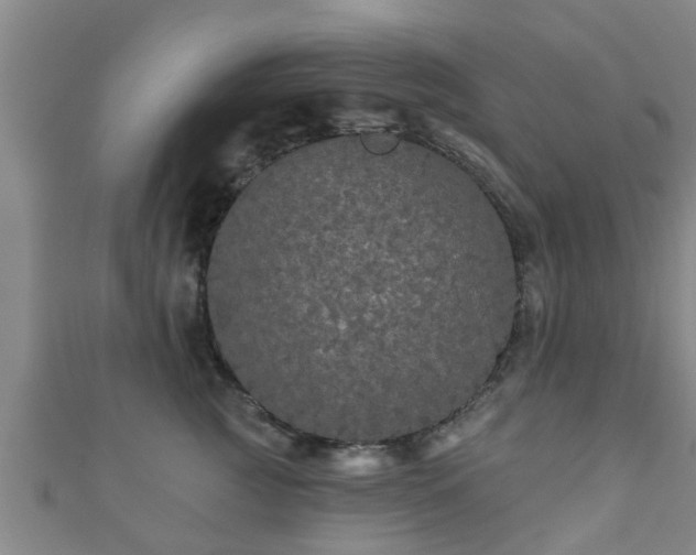 X0000111590761200907231214