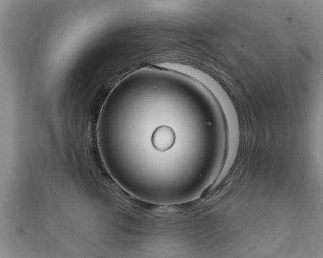 X0000111590762200907231214