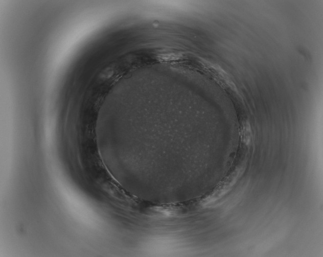 X0000111590763200907231214