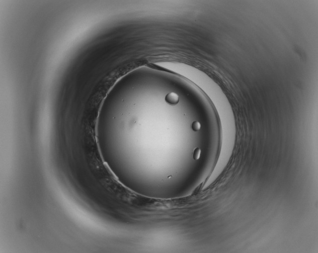 X0000111590764200907231214