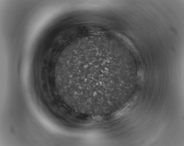 X0000111590765200907231214