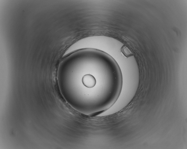 X0000111590768200907231214