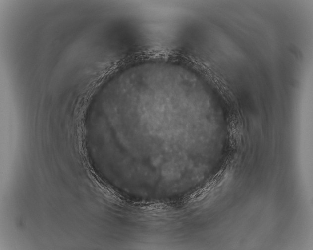 X0000111590769200907231214